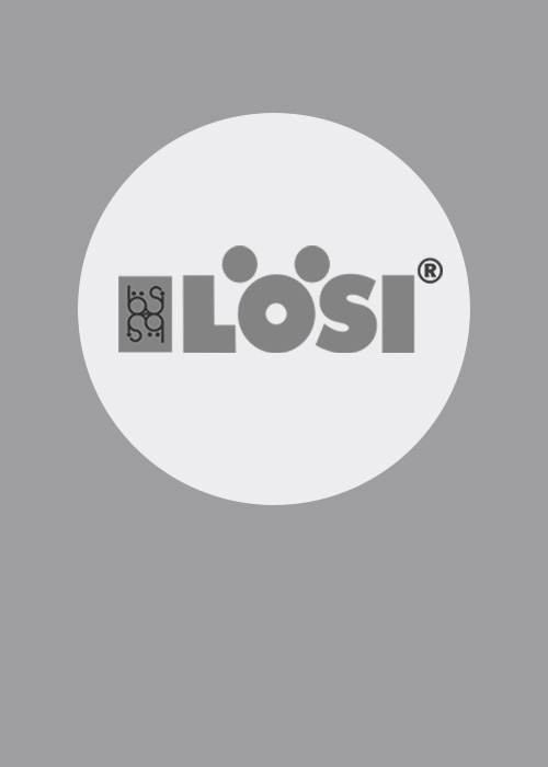 creacheck_referenz_loesi